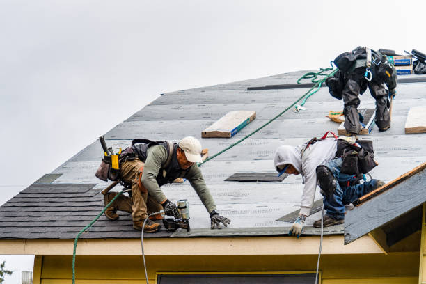 Professional Roofing technician working in Drewryville, VA